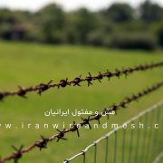 سیم خاردار خطی